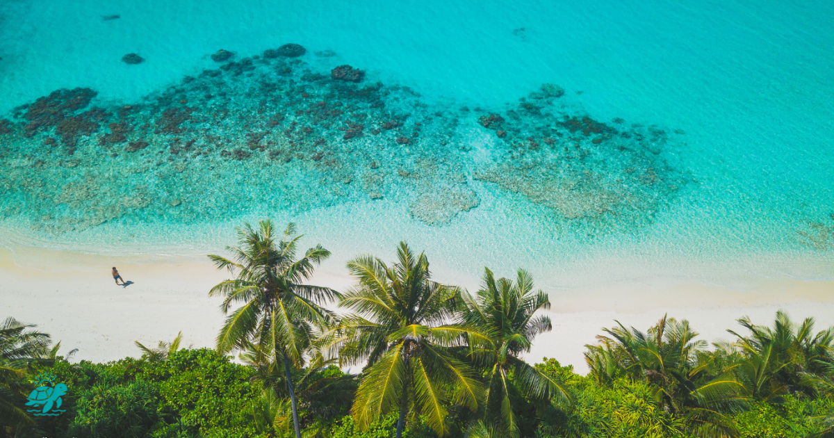 Dive Retreat Maldives